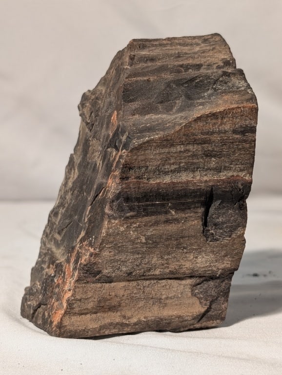 Petrified Wood - Wolverine Valley UT: Petrified Wood - Wolverine Valley UT. Meas 4"h x 2 3/4"w x 2 1/2"ll.