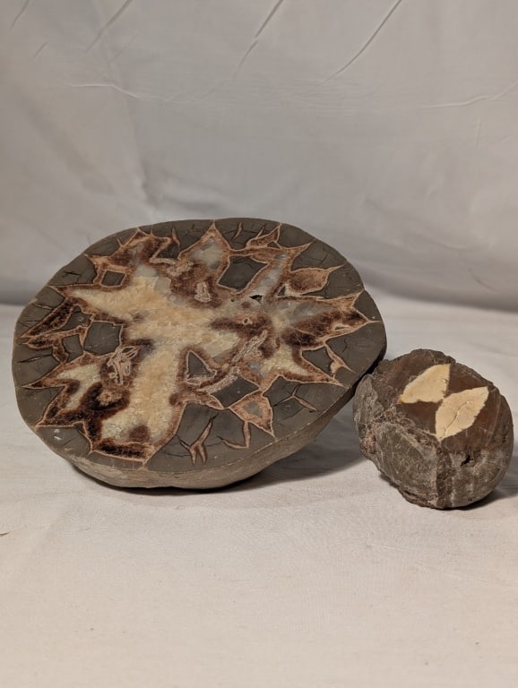 Polish Septarian Nodule - 2 pcs: Polish Septarian Nodule - 2 pcs. Also known as lightning stones. One round cross section- meas. 1 1/2"h x 6"w x 6 1/4"r - beautiful pattern. Other is smaller cut stone, meas. 2 1/4" x 2" x 1