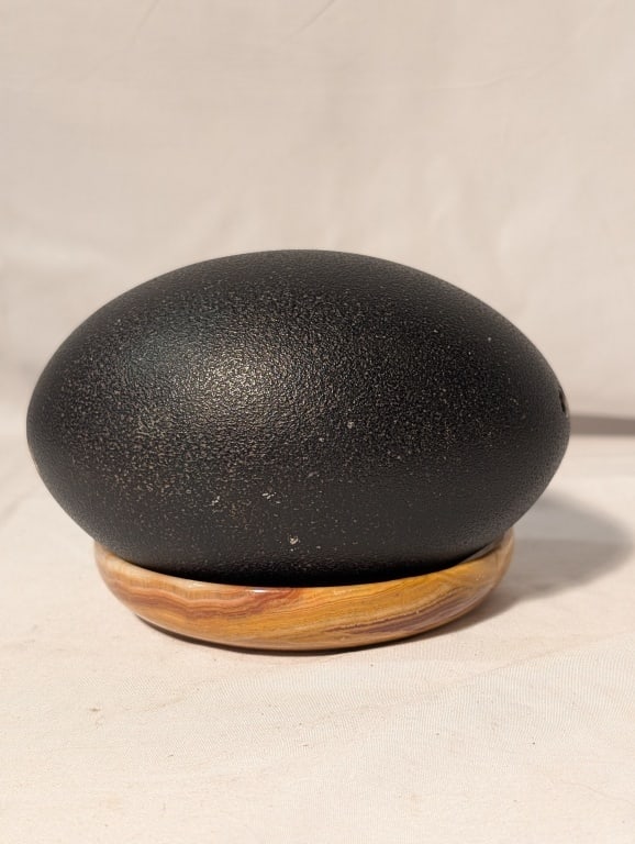 Emu Egg - Black, Hollow: Emu Egg - Black, Hollow. In tact. Meas. 7"h x 11"around. Has drain holes.