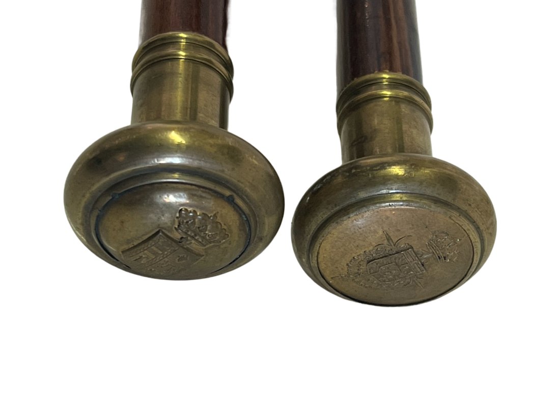 2 Antique Canes with Brass Crests (1 of 6)