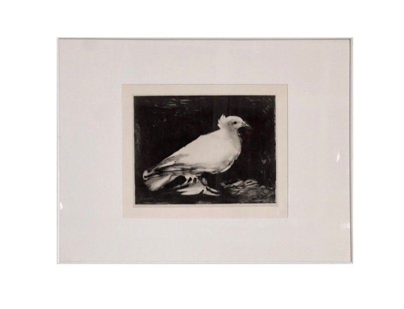 Pablo Picasso Lithograph of The Dove 1949 (1 of 7)