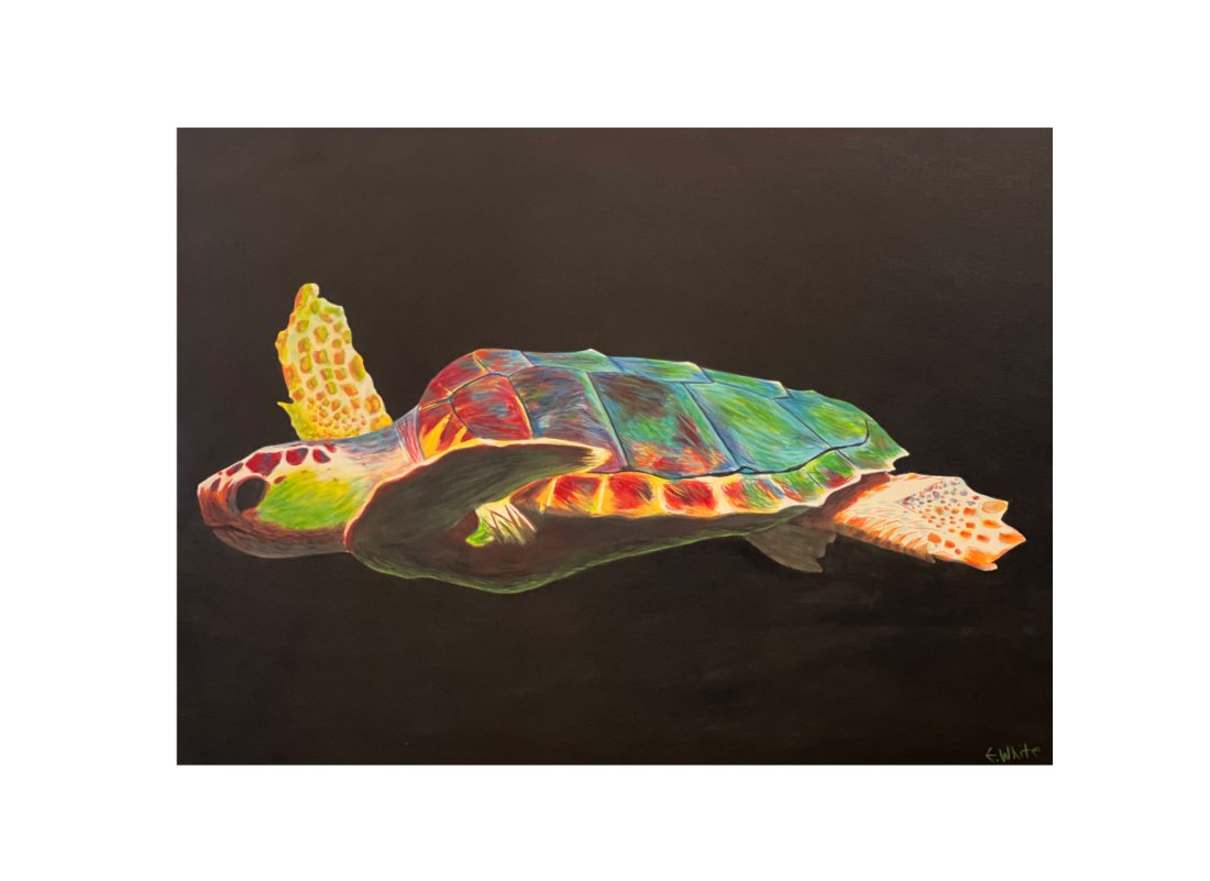 Charleston Artist Everett White Acrylic On Canvas: Local Charleston Artist, Everett White. Acrylic on canvas Turtle. Measurements: 30' x 40'. **SHIPPING on this item offered through, UPS (843) 856-9099 store2130@theupsstore.com, Pak Mail 843-849-0310 
