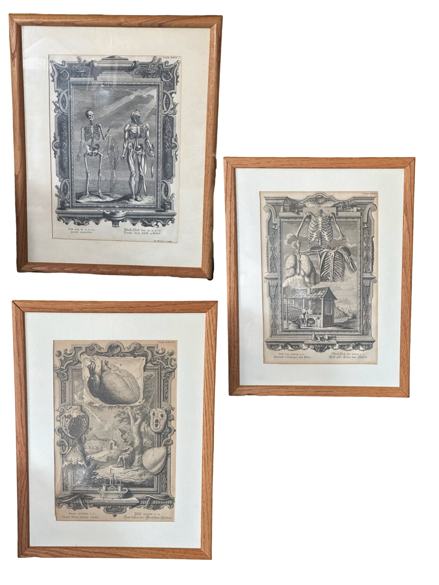 Lot of Three Johann Jakob Scheuchzer Biblical and Scientific Engravings: Lot of three fascinating Johann Jakob Scheuchzer engravings. Measurements: 17" x 13" x 1" **SHIPPING on this item offered through, UPS 843-971-4111 store3809@theupsstore.com -Pak Mail 843-849-0310- in
