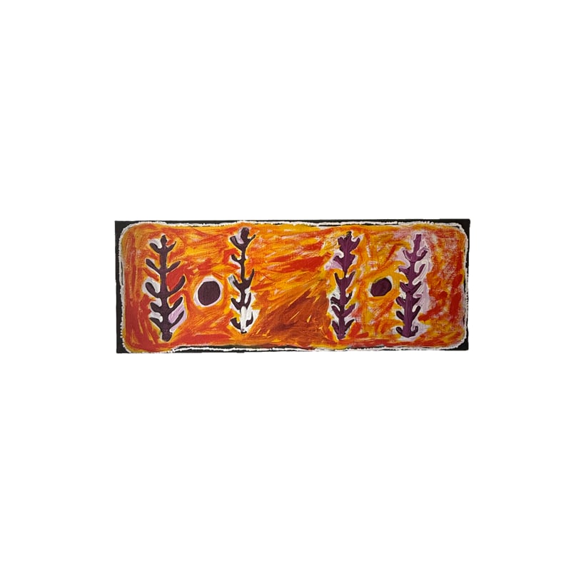 Kitty Napanangka Simon Painting on Canvas (1 of 6)