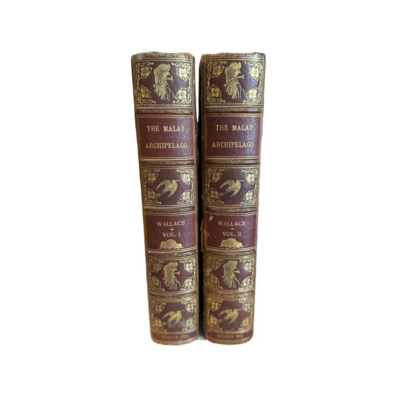 The Malay Archipelago by Alfred Russel Wallace Two Volumes - 1869 (1 of 12)