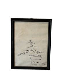 Ben Oki bonsai sketch