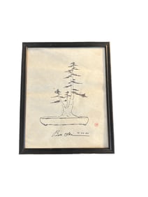 Ben Oki bonsai sketch