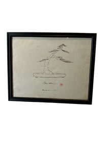 Ben Oki bonsai sketch