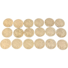 Lot of Buffalo Nickels - unsearched