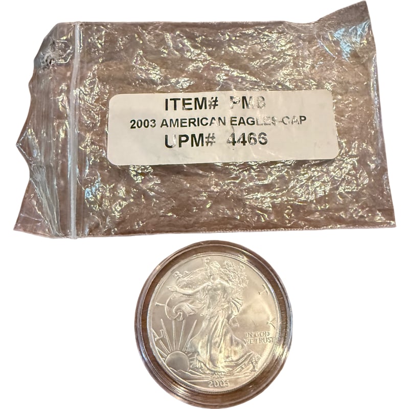 2003 American Eagle Silver Coin (1 of 3)