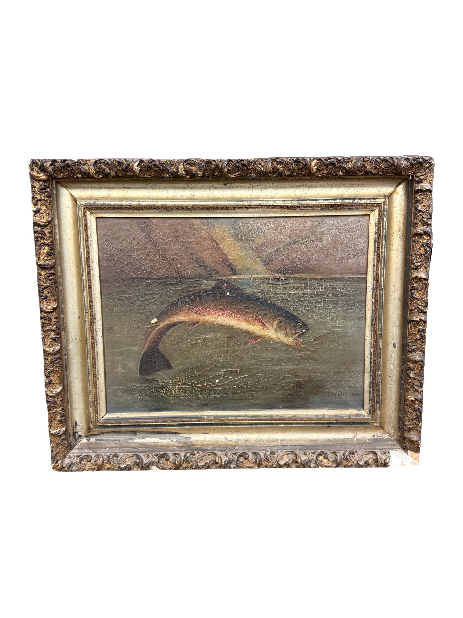 Framed Antique Trout Oil Painting Signed by Adelbert S Pratt: Framed Antique Trout Oil Painting Signed by Adelbert S Pratt Framed: 31.5"W x 27"L Sight: 23.5"W x 17"L Condition under frame **OUT OF HOUSE SHIPPING