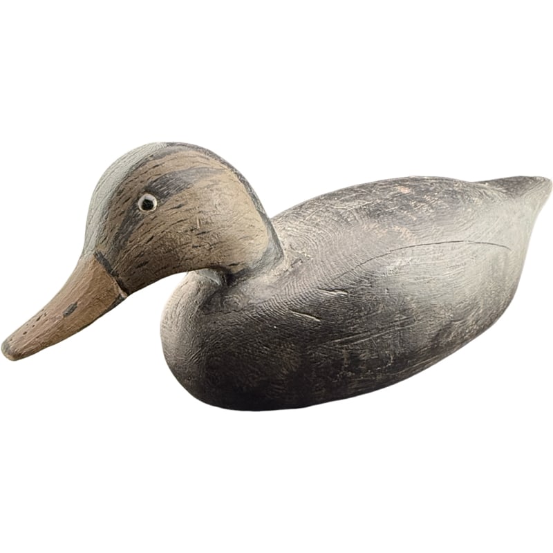 Large Antique / Vintage Carved Duck Decoy with Iron and Glass Eyes (1 of 5)