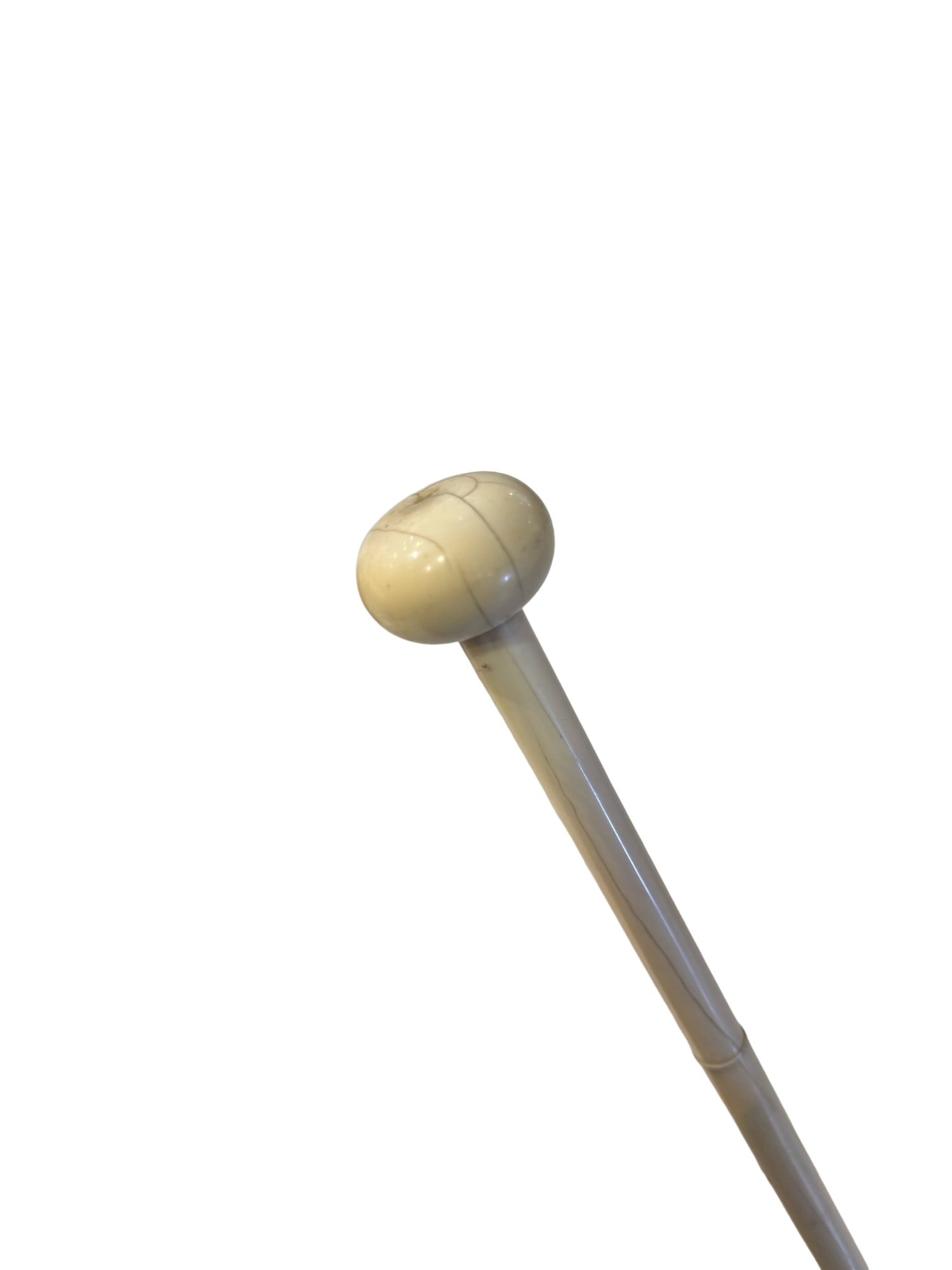 Bone Walking Stick / Cane (1 of 6)