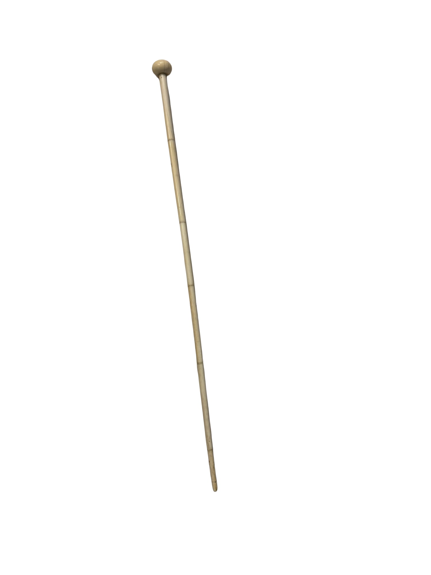 Bone Walking Stick / Cane - 2