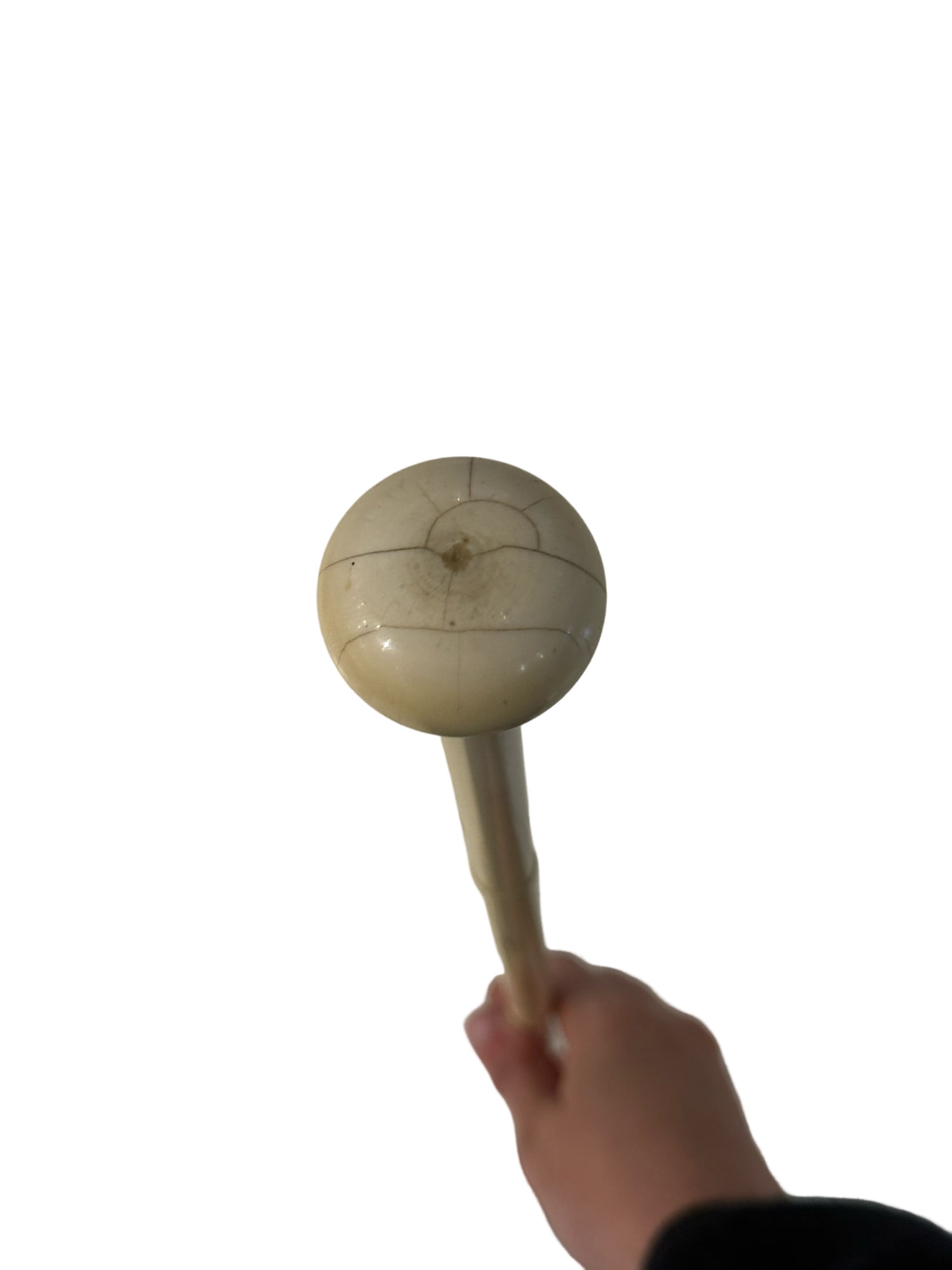 Bone Walking Stick / Cane - 3