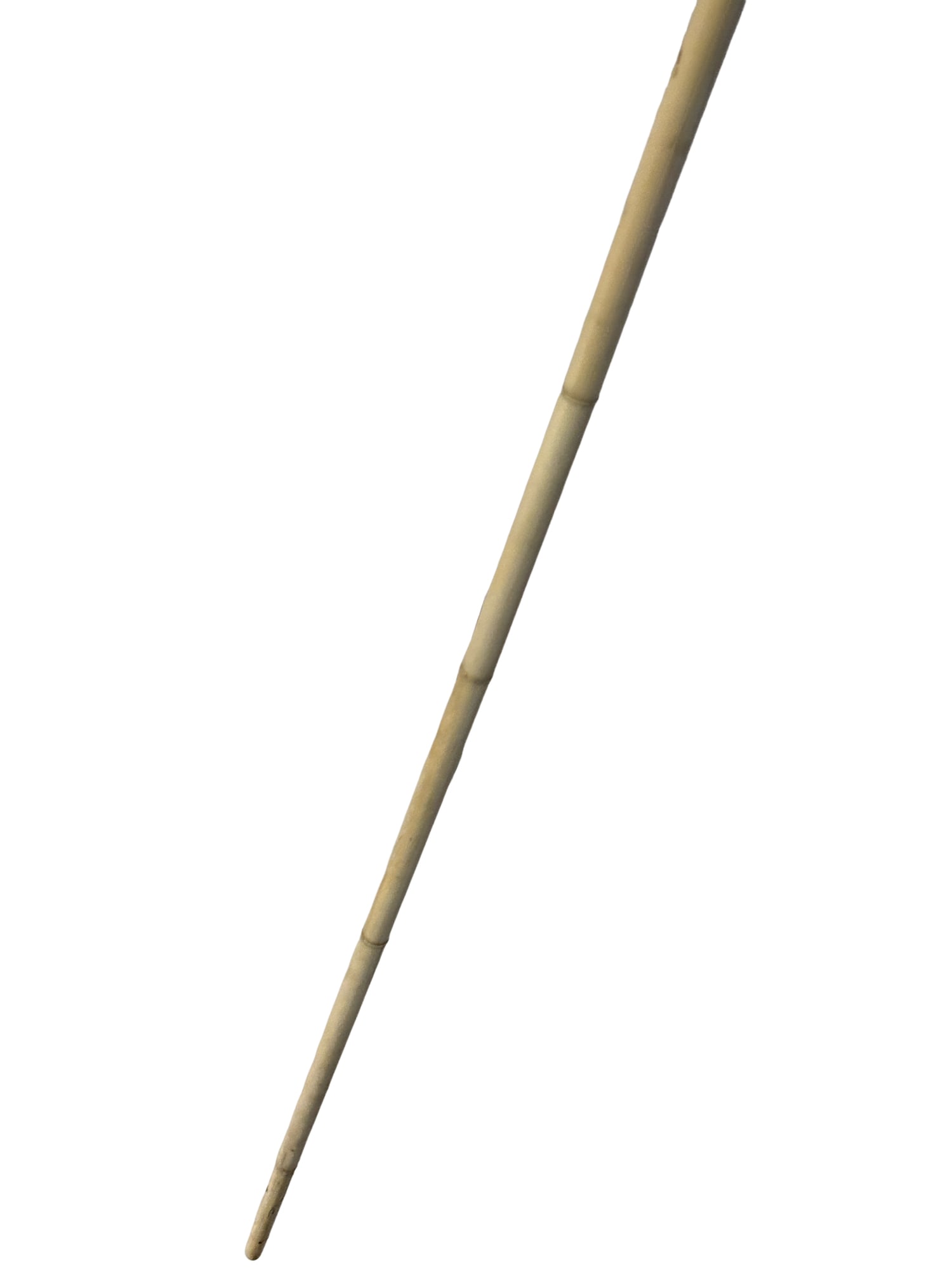 Bone Walking Stick / Cane - 4