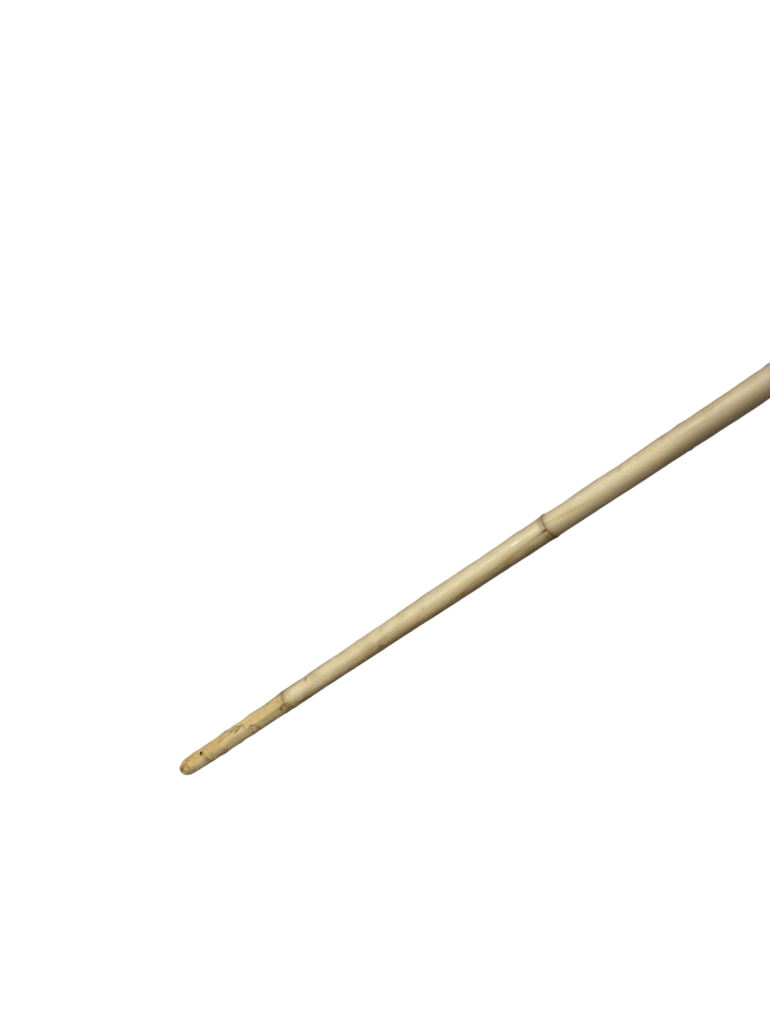Bone Walking Stick / Cane - 5