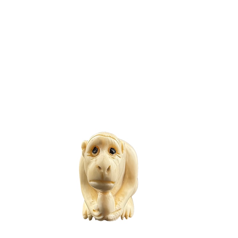Japanese Carved Bone Monkey Netsuke: PLEASE READ: in house shipping within the US If you win this item, please select self arranged for in house shipping when paying invoice Japanese Carved Bone Monkey Netsuke 1.25" x 1.5"