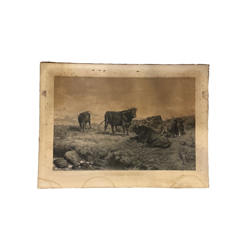 Rosa Bonheur "Les Boeufs Bretons" Engraved By Charles Mottram: **OUT OF HOUSE SHIPPING by British-American printmaker Charles Mottram (1807–1876) based on an original cattle painting by the renowned French artist Rosa Bonheur. The work captures realistic farm a