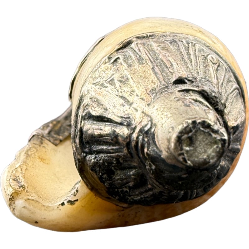 Antique Tibetan Conch Horn - 4