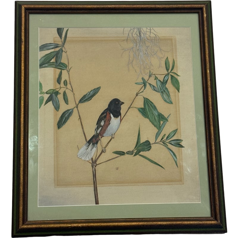 Vintage Painting of Bird - Beautifully Framed - Dingle ?: **OUT OF HOUSE SHIPPING Framed: 16" x 13.75" sight: 12" x 10.5"