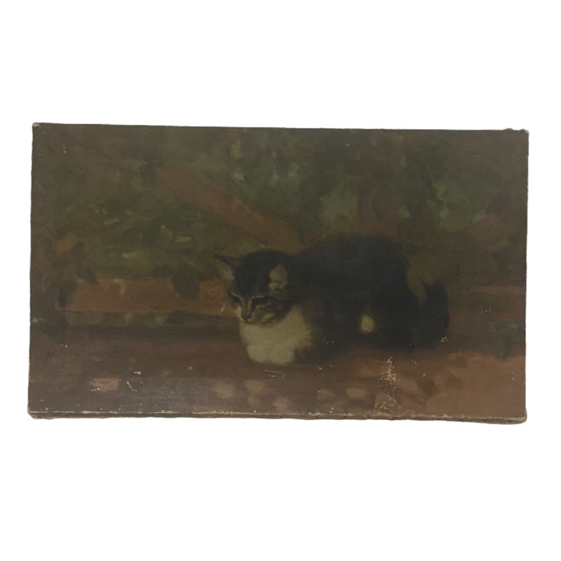 Antique Cat Portrait Original Oil Painting from Hagerstown Maryland: **OUT OF HOUSE SHIPPING 17" x 27.75" Marked from the Washington County Museum of Fine Art Provenance: From the Charleston and Walterboro, South Carolina estate of Charlie Prioleau Paul.