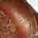 item-124594996=7