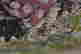 item-131745718=5