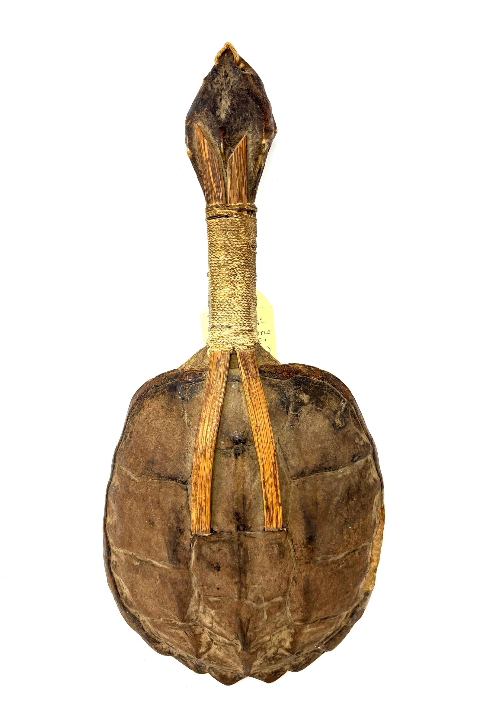 Iroquois Indian Snapping Turtle Rattle: A super turtle Indian rattle showing use - Danced. This old rattle shows use and has twine wrapping around the neck handle. The sides are rolled up and split from being Danced.It measures 17" long x 7