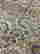 item-129231223=4