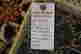 item-131189899=4
