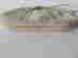 item-113042318=4