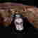 item-114697742=3