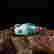 item-114697742=6