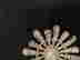 item-130775446=3