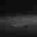 item-131344861=6