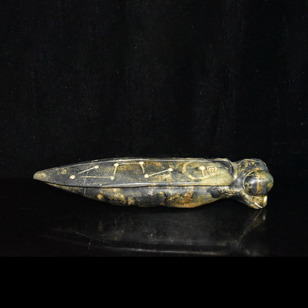 Meteorite, Golden Cicada: Meteorite, Golden Cicada Height: 7 cm, Width: 28.5 cm