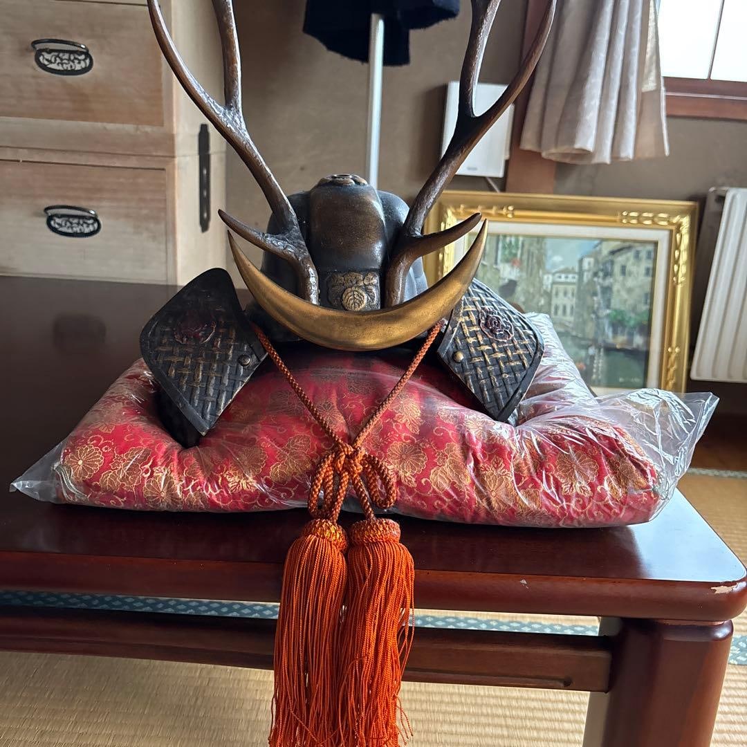 Helmet with horns and armor with floral patterns. (1 of 3)