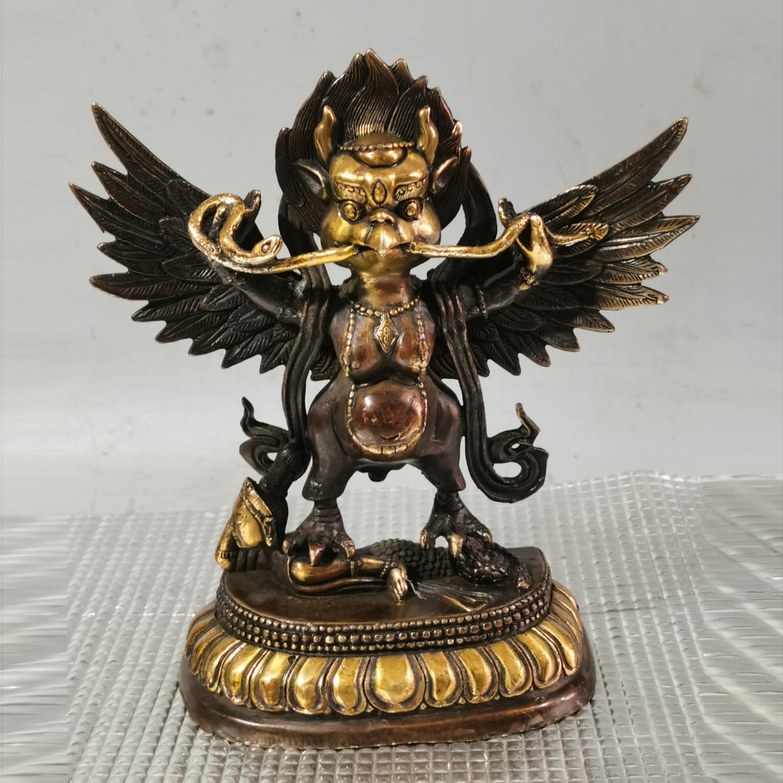 Copper Golden-winged Roc (1 of 7)