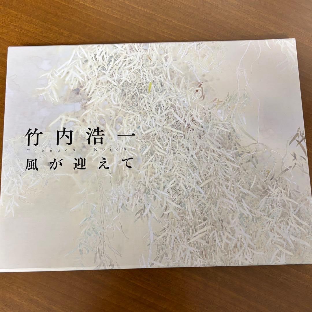 Rare Out-of-Print - Takeuchi Koichi Nihonga Art Illustrated Special Edition - Domoto Insho Museum: This two-volume art book collection features representative fusuma paintings and other works by the Japanese artist Takeuchi Koichi, allowing you to appreciate his delicate brushwork and serene worldv