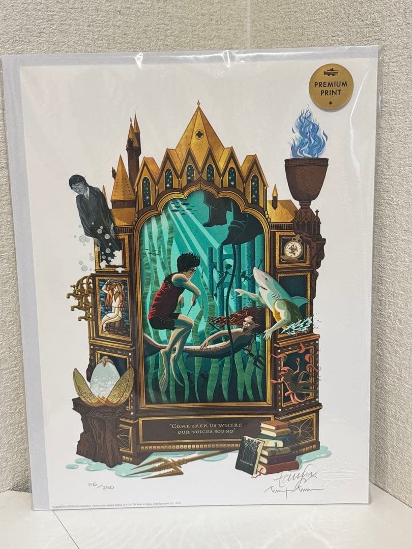 Harry Potter Harajuku Opening Commemorative Original Art Print, Limited Edition of 250 Worldwide: Harry Potter Harajuku Opening Commemorative Original Art Print Limited to 250 Copies Worldwide This is an original art print exclusive to the first flagship store in Japan, Harry Potter Harajuku, open