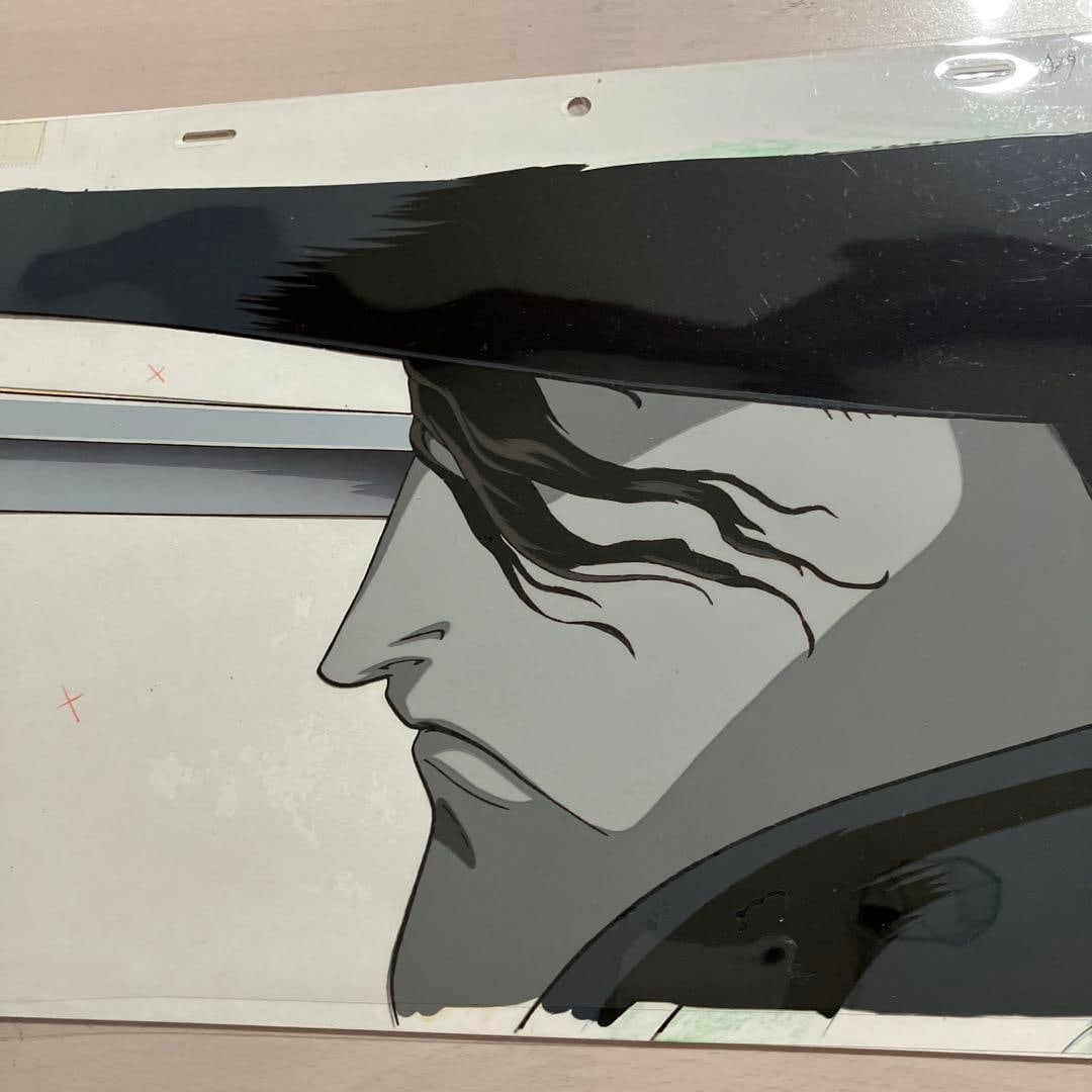 This is a cel painting from the climax scene of "Vampire Hunter D." Although not very noticeable,: This is a cel painting from the climax scene of "Vampire Hunter D". Although not very noticeable, there is minor wear on the hair section.