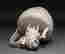 item-131331339=8