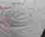 item-131331365=6