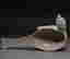 item-131331489=10