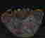 item-131347442=11