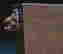 item-131347595=7