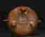 item-131347610=10