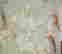 item-131347616=4