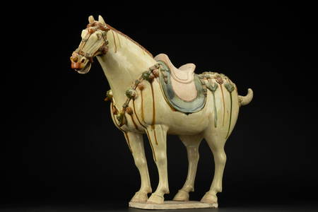 A tri-coloured glazed pottery horse, Tang dynasty